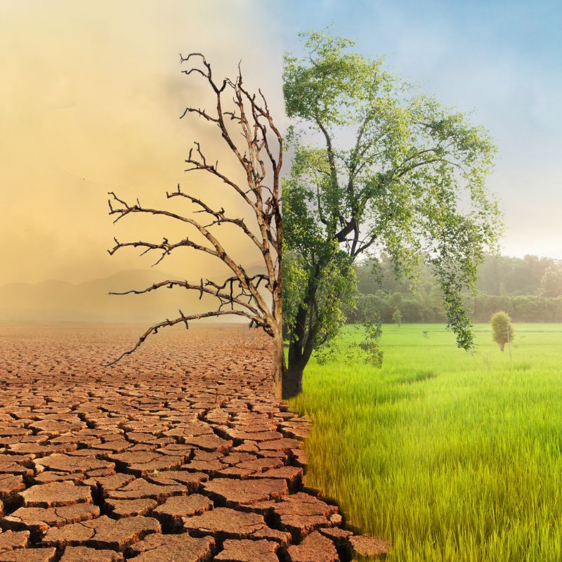Climate Change & Sustainability Starter Course